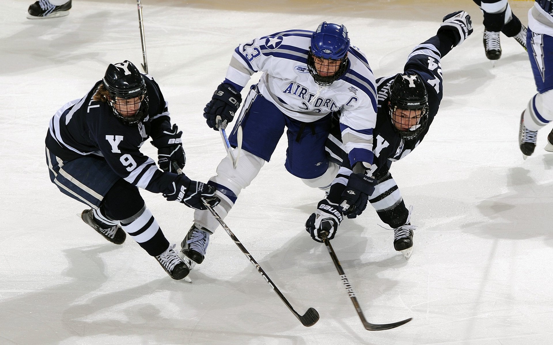 中国篮球职业联赛裁判员技术水平提升，中国篮协裁判员管理条例暨实施细则