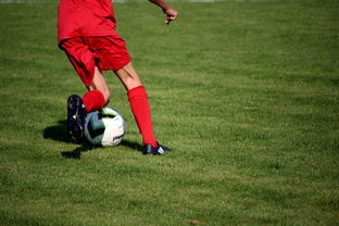 开云直播-冬奥场馆智能系统协助运动员热身训练，冬奥会设备